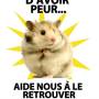 adc-vic-pub4.jpg
