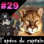 podcast-29.jpg