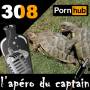 podcast-308.jpg