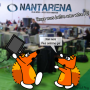 adc178-nantarena.png