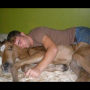 wtf-horse-bed.png